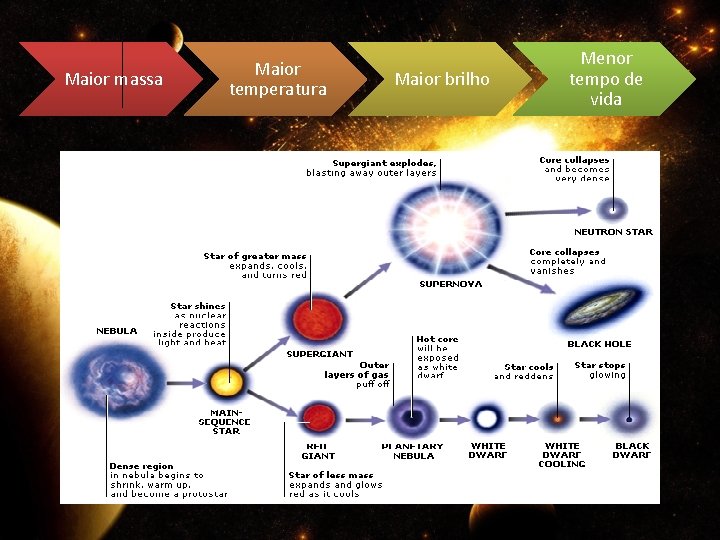 Maior massa Maior temperatura Maior brilho Menor tempo de vida 