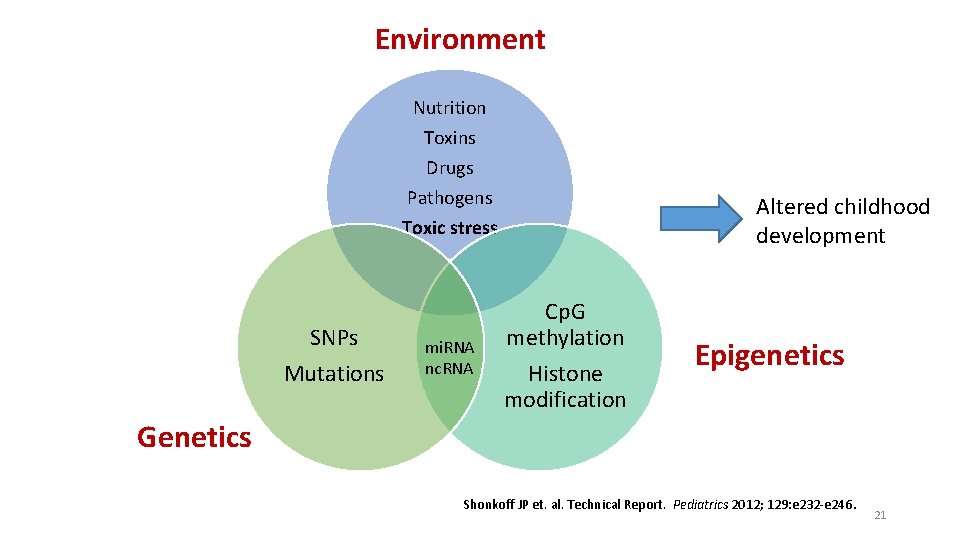 Environment Nutrition Toxins Drugs Pathogens Toxic stress SNPs Mutations mi. RNA nc. RNA Altered