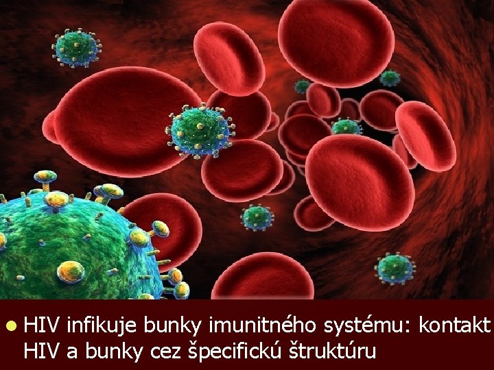 l HIV infikuje bunky imunitného systému: kontakt HIV a bunky cez špecifickú štruktúru 