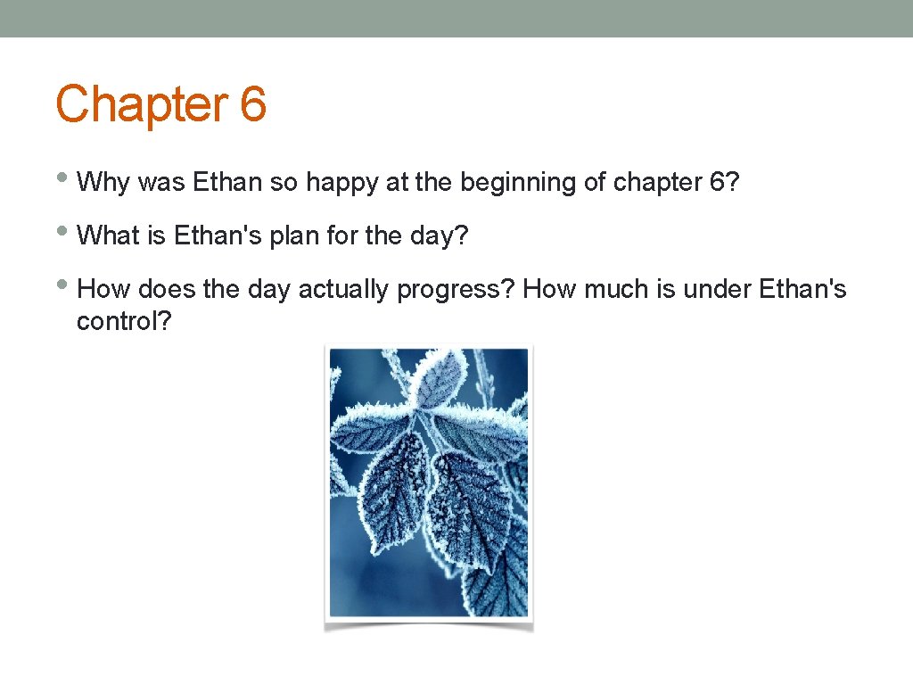 Chapter 6 • Why was Ethan so happy at the beginning of chapter 6?