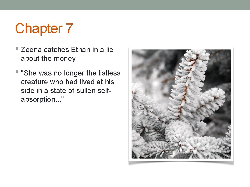 Chapter 7 • Zeena catches Ethan in a lie about the money • "She