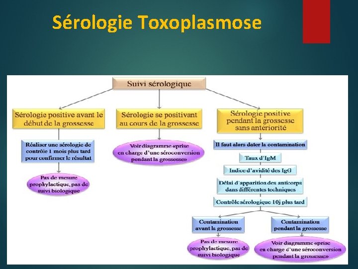 Sérologie Toxoplasmose 