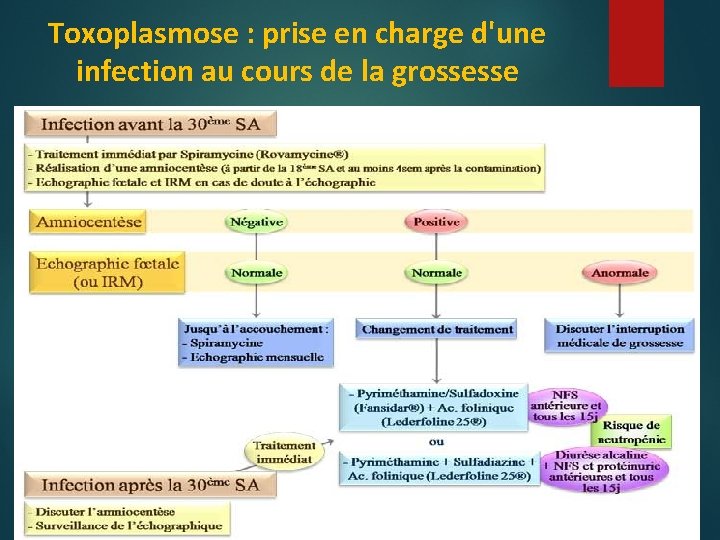 Toxoplasmose : prise en charge d'une infection au cours de la grossesse 