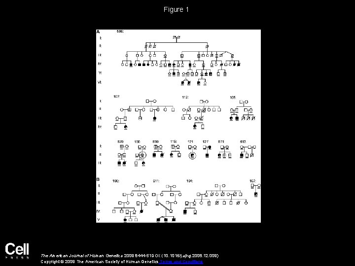 Figure 1 The American Journal of Human Genetics 2009 8444 -51 DOI: (10. 1016/j.