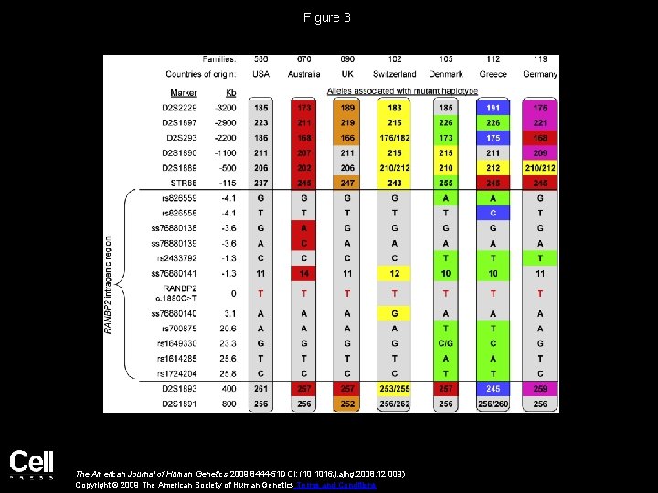 Figure 3 The American Journal of Human Genetics 2009 8444 -51 DOI: (10. 1016/j.