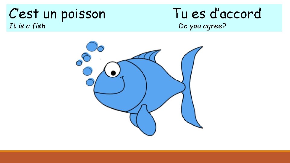 C’est un poisson It is a fish Tu es d’accord Do you agree? 