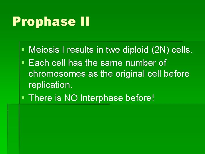 Prophase II § Meiosis I results in two diploid (2 N) cells. § Each