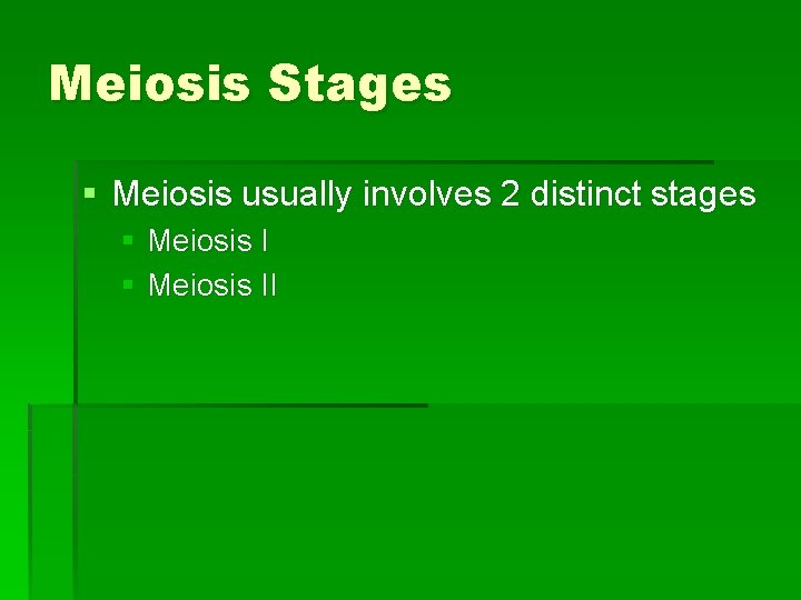 Meiosis Stages § Meiosis usually involves 2 distinct stages § Meiosis II 