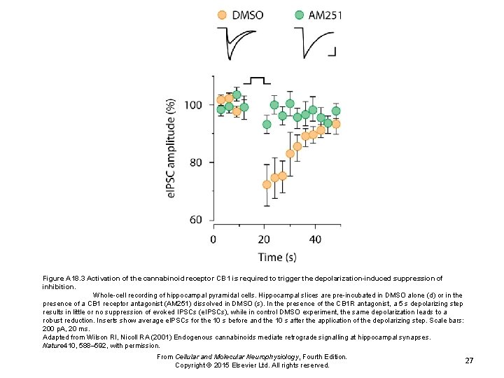 Figure A 18. 3 Activation of the cannabinoid receptor CB 1 is required to