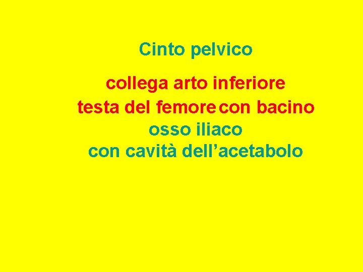 Cinto pelvico collega arto inferiore testa del femore con bacino osso iliaco con cavità