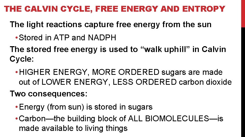 THE CALVIN CYCLE, FREE ENERGY AND ENTROPY The light reactions capture free energy from