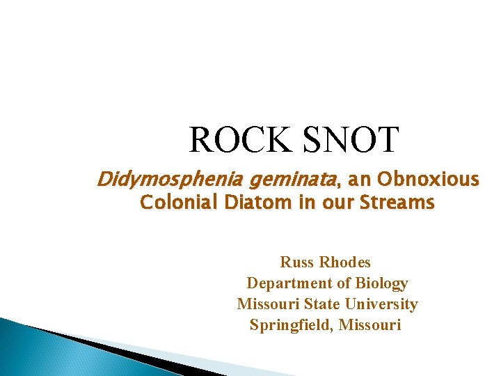 ROCK SNOT Didymosphenia geminata, an Obnoxious Colonial Diatom in our Streams Russ Rhodes Department