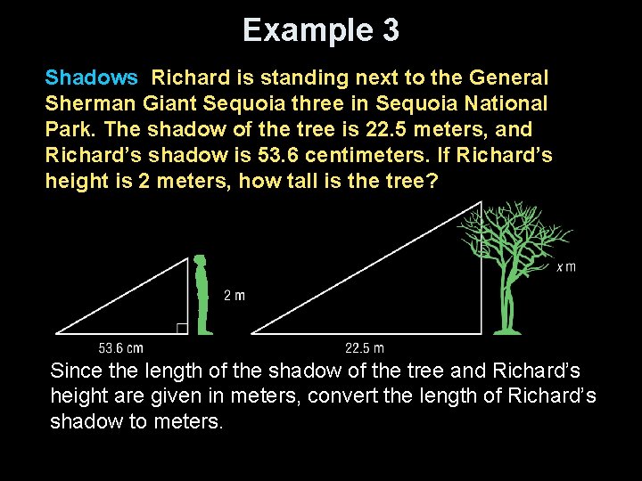 Example 3 Shadows Richard is standing next to the General Sherman Giant Sequoia three