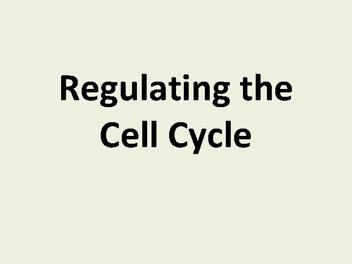 Regulating the Cell Cycle 