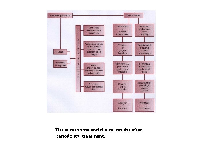 Tissue response and clinical results after periodontal treatment. 