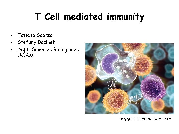 T Cell mediated immunity • Tatiana Scorza • Stéfany Bazinet • Dept. Sciences Biologiques,