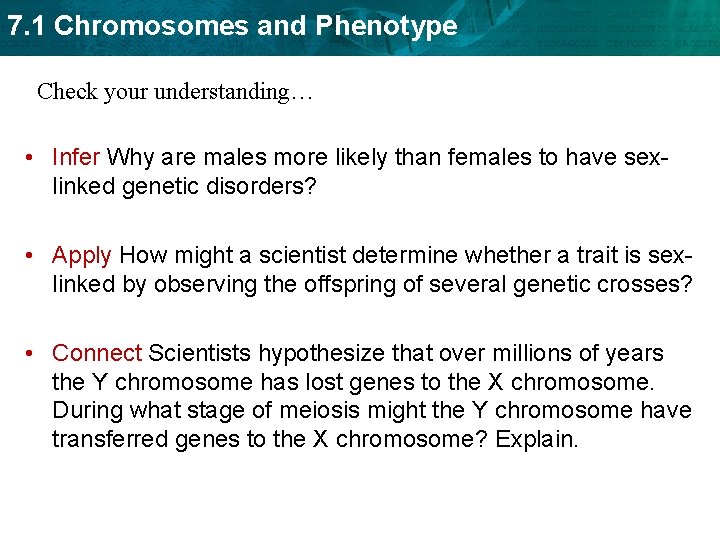 7. 1 Chromosomes and Phenotype Check your understanding… • Infer Why are males more