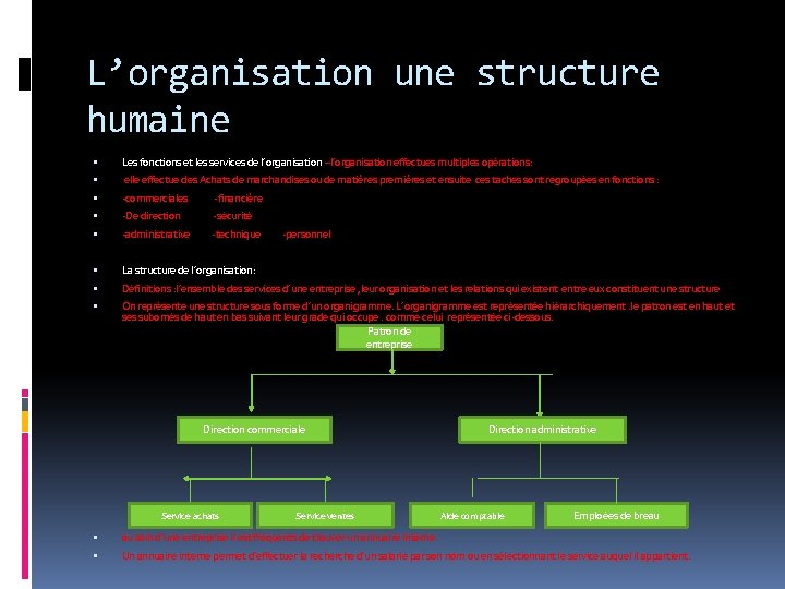 L’organisation une structure humaine Les fonctions et les services de l’organisation –l’organisation effectues multiples