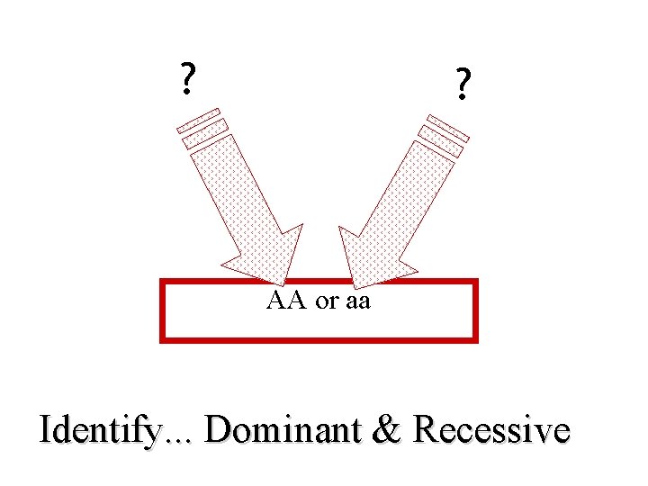 ? ? AA or aa Identify. . . Dominant & Recessive 