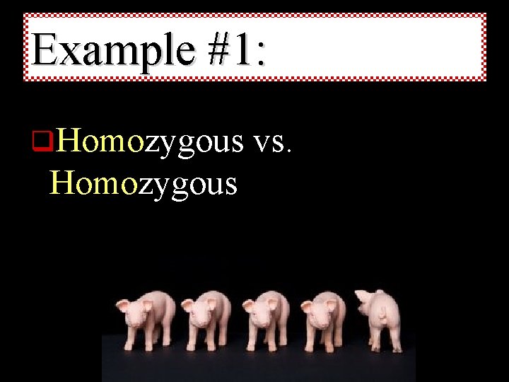 Example #1: q. Homozygous vs. 