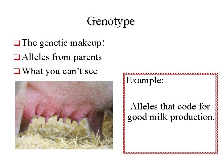 Genotype q The genetic makeup! q Alleles from parents q What you can’t see