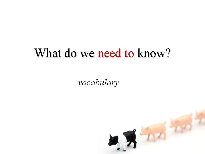 What do we need to know? vocabulary… 