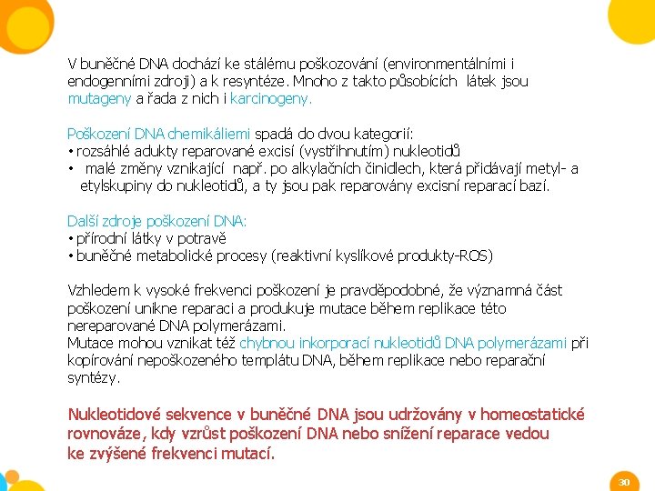 V buněčné DNA dochází ke stálému poškozování (environmentálními i endogenními zdroji) a k resyntéze.