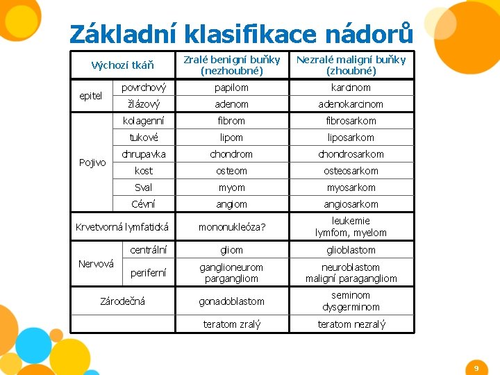 Základní klasifikace nádorů Zralé benigní buňky (nezhoubné) Nezralé maligní buňky (zhoubné) povrchový papilom karcinom Základní klasifikace nádorů Zralé benigní buňky (nezhoubné) Nezralé maligní buňky (zhoubné) povrchový papilom karcinom