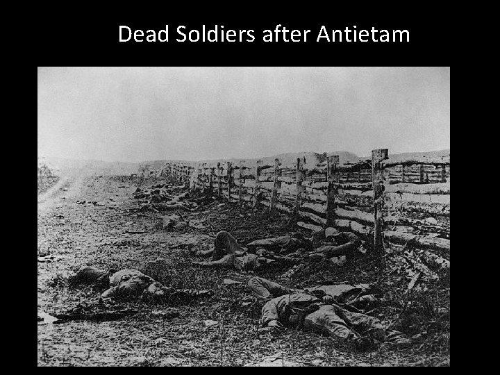 Dead Soldiers after Antietam 