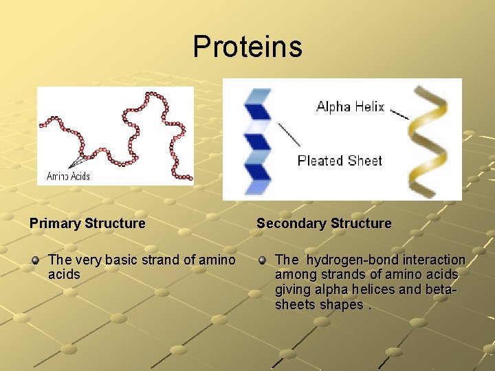 Proteins Primary Structure The very basic strand of amino acids Secondary Structure The hydrogen-bond