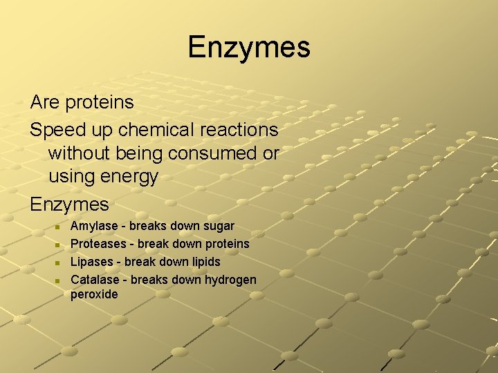 Enzymes Are proteins Speed up chemical reactions without being consumed or using energy Enzymes