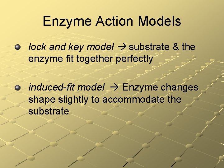 Enzyme Action Models lock and key model substrate & the enzyme fit together perfectly