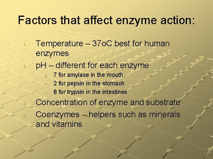 Factors that affect enzyme action: 1. 2. Temperature – 37 o. C best for