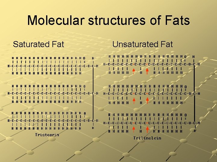 Molecular structures of Fats Saturated Fat Unsaturated Fat 