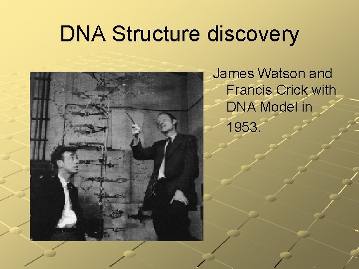 DNA Structure discovery James Watson and Francis Crick with DNA Model in 1953. 