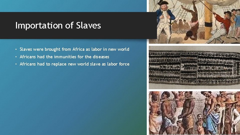 Importation of Slaves • Slaves were brought from Africa as labor in new world