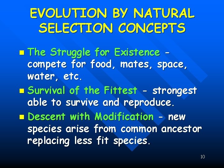 EVOLUTION BY NATURAL SELECTION CONCEPTS The Struggle for Existence compete for food, mates, space,