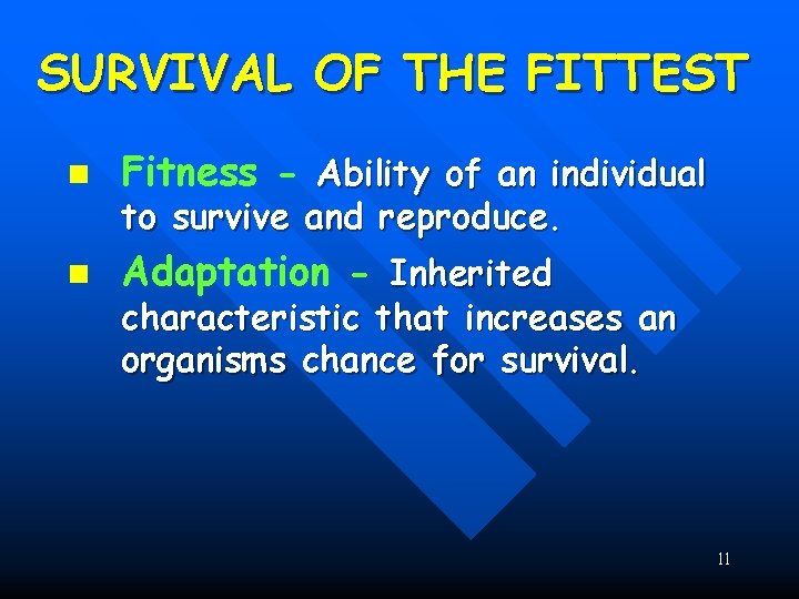 SURVIVAL OF THE FITTEST n Fitness - Ability of an individual n Adaptation -
