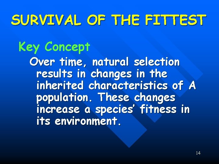 SURVIVAL OF THE FITTEST Key Concept Over time, natural selection results in changes in