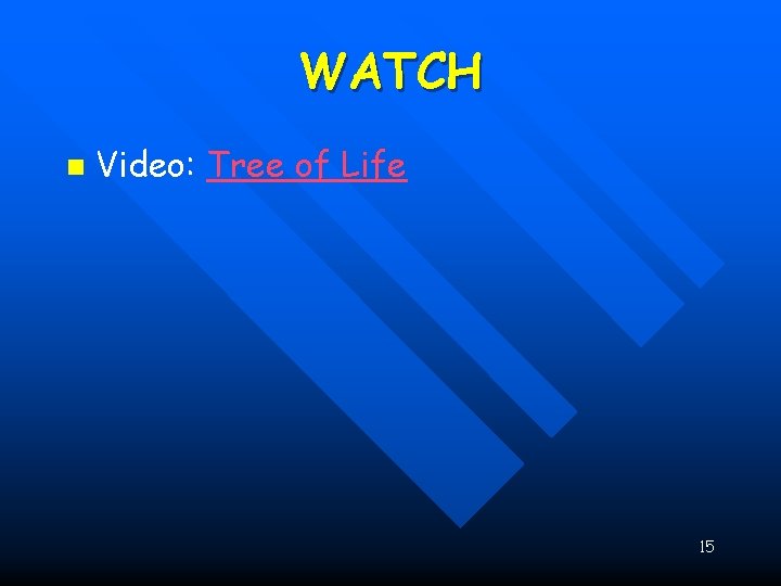 WATCH n Video: Tree of Life 15 