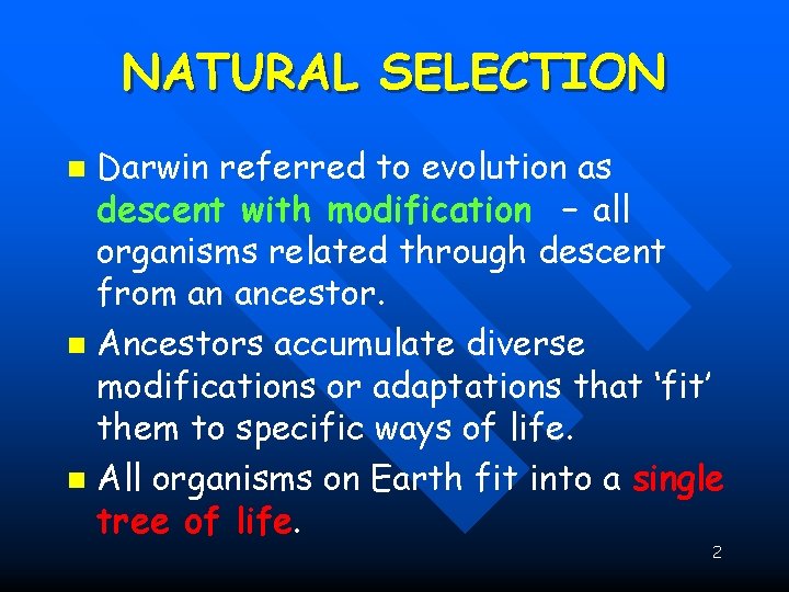 NATURAL SELECTION Darwin referred to evolution as descent with modification – all organisms related