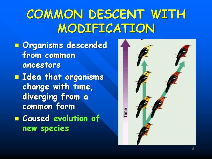 COMMON DESCENT WITH MODIFICATION n n n Organisms descended from common ancestors Idea that