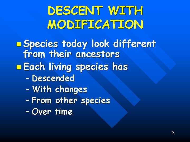 DESCENT WITH MODIFICATION n Species today look different from their ancestors n Each living