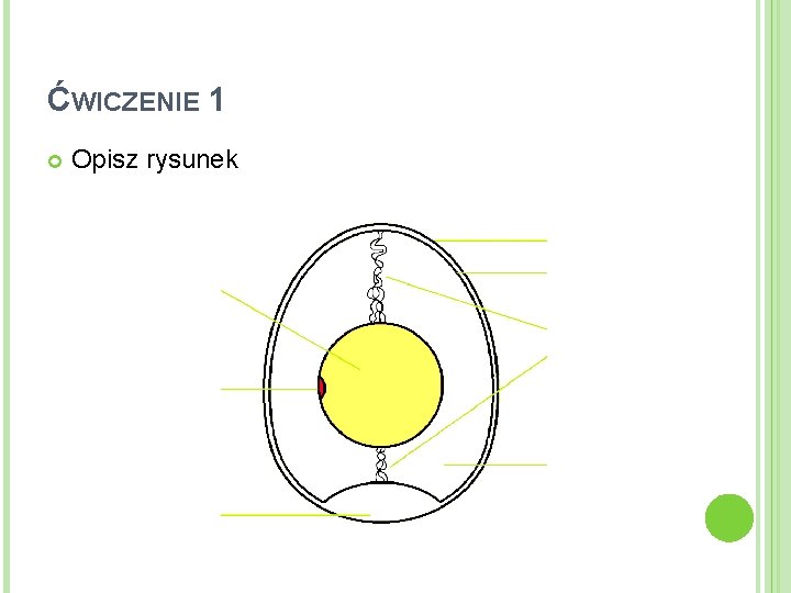 ĆWICZENIE 1 Opisz rysunek 