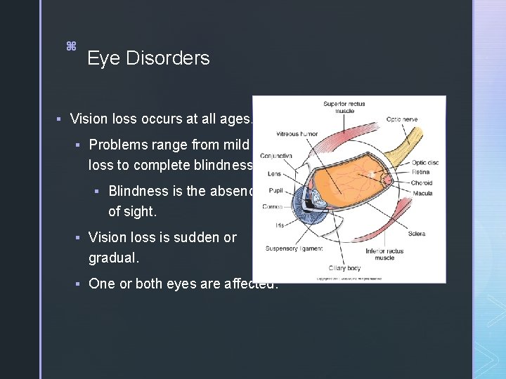 15 z z Eye Disorders § Vision loss occurs at all ages. § Problems