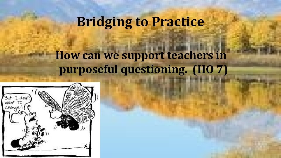 Bridging to Practice How can we support teachers in purposeful questioning. (HO 7) 