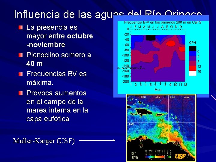 Influencia de las aguas del Río Orinoco La presencia es mayor entre octubre -noviembre