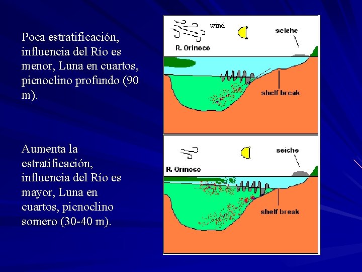 Poca estratificación, influencia del Río es menor, Luna en cuartos, picnoclino profundo (90 m).