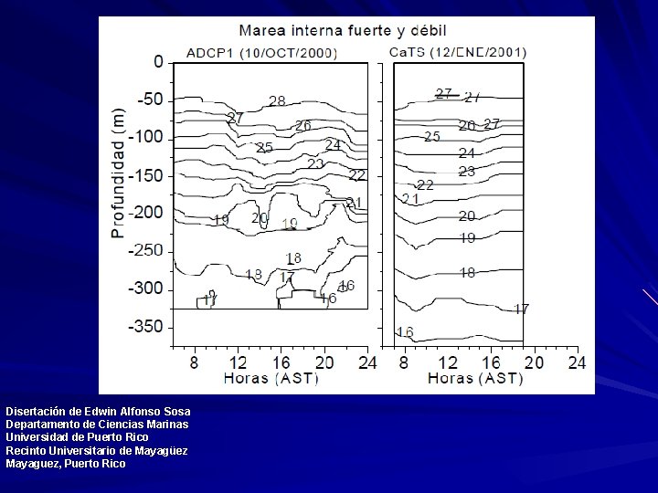 Disertación de Edwin Alfonso Sosa Departamento de Ciencias Marinas Universidad de Puerto Rico Recinto