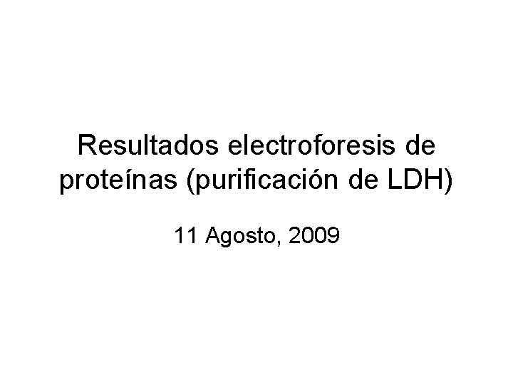 Resultados electroforesis de proteínas (purificación de LDH) 11 Agosto, 2009 